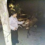 BhasaFM