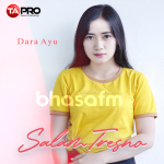 Bhasafm