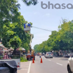 Bhasafm