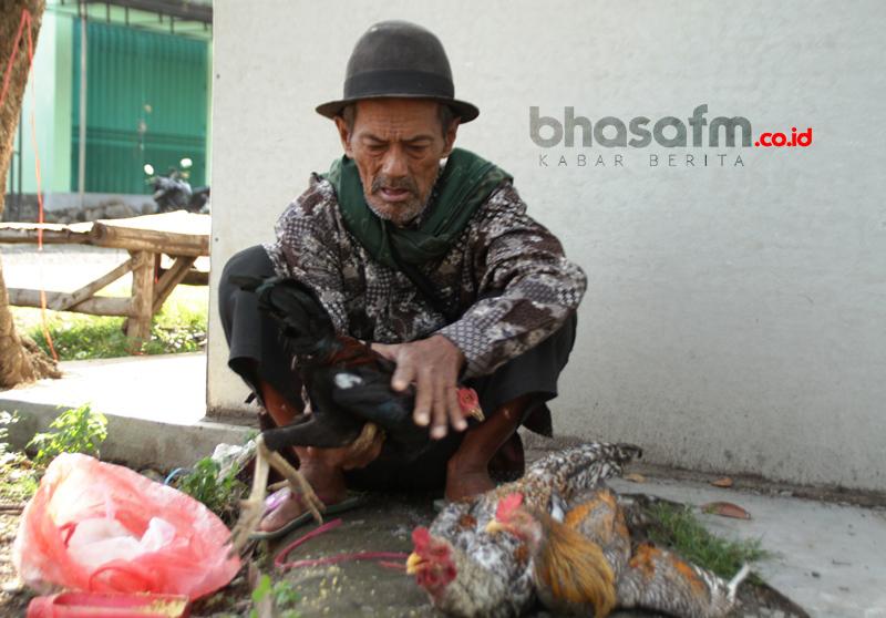 bhasafm