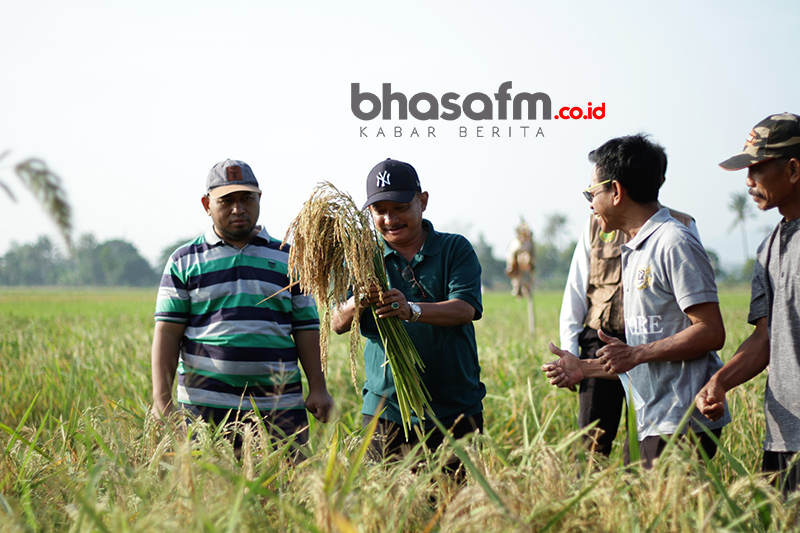 bhasafm