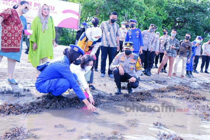 bhasafm