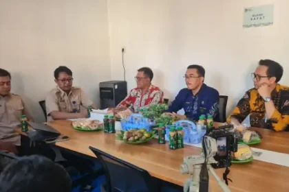 Pemerintahan