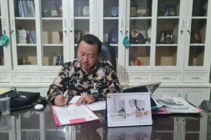 Pemerintahan