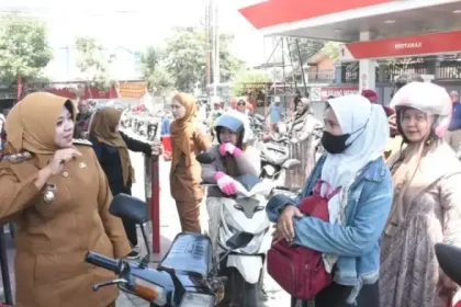 Pemerintahan